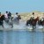 Fun_in_the_lake